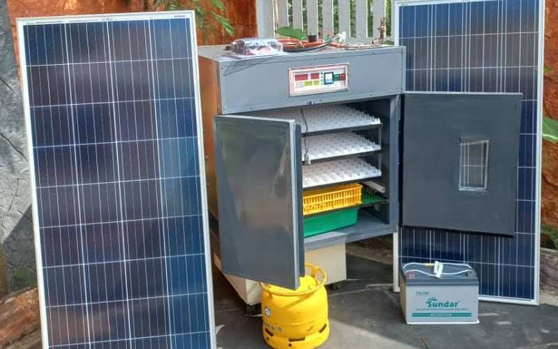 TAIFOCUS FRONT PAGE 2025 (2)