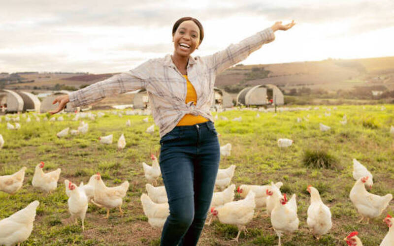 TAIFOCUS FRONTP 2025