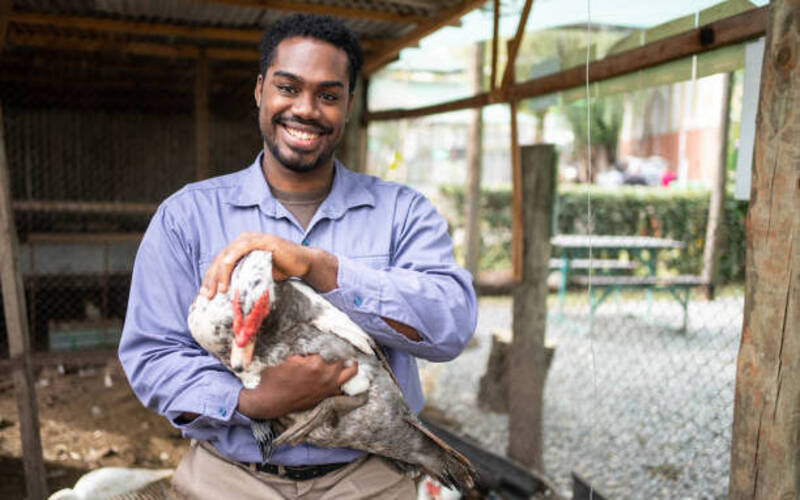 TAIFOCUS FRONTPP 2025